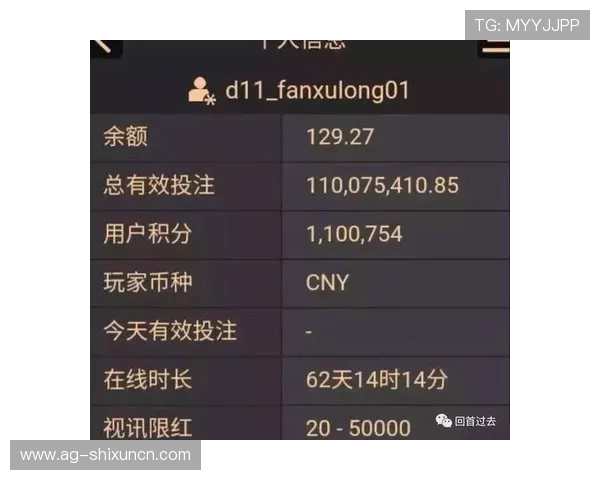 掌握AG百家乐的规则细节与玩法技巧，轻松应对各种游戏局面实现盈利
